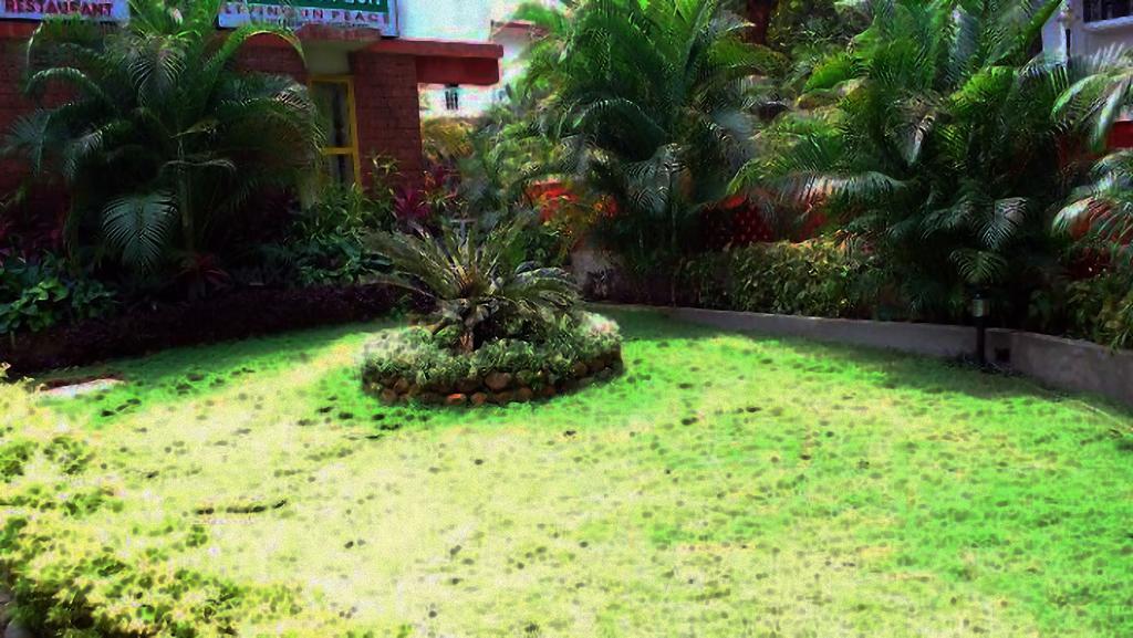 Little Italy Hotel Calangute Luaran gambar