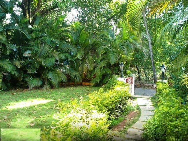 Little Italy Hotel Calangute Luaran gambar